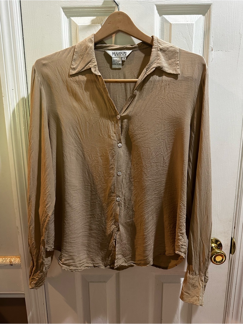 Allison Taylor 100% Silk Beige Tan Long Sleeve Button Up Blouse Medium